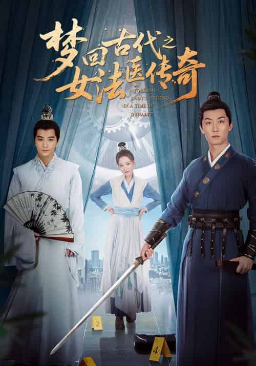 梦回古代之女法医传奇(70集)陈思宇&辛珏-搜外项目网
