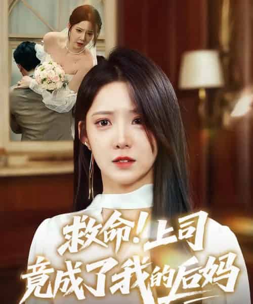 救命！上司竟成了我的后妈（72集）张静东＆崔晓曼-搜外项目网