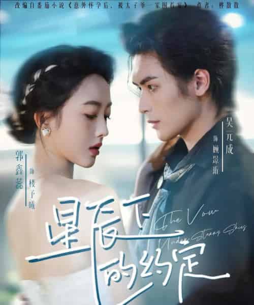 星辰下的约定(80集全)吴元成&郭鑫蕊-搜外项目网