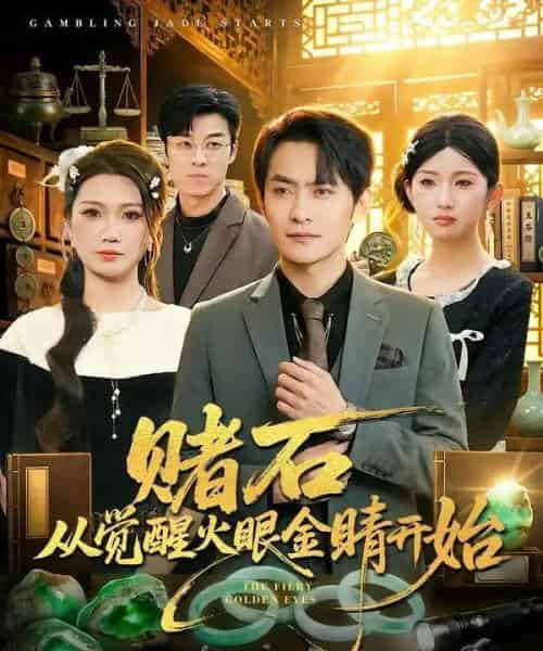 赌石从觉醒火眼金睛开始(80集全)郑天龙&李永佳-搜外项目网