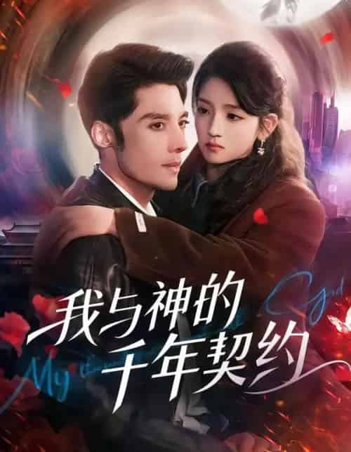 我与神的千年契约（63集全）沈帆＆刘苗苗-搜外项目网