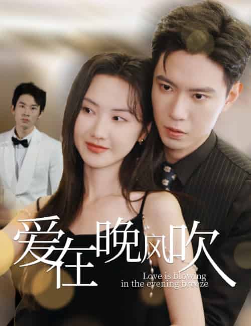 爱在晚风吹(36集全)黄浩雯&张珊珊-搜外项目网