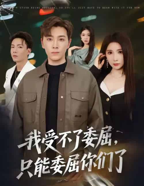 我受不了委屈只能委屈你们了（54集全）胡程耀＆金瞳-搜外项目网