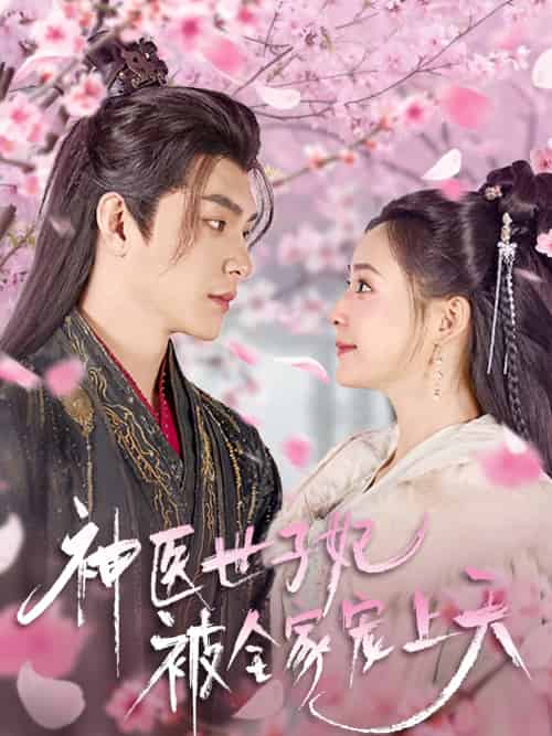 神医世子妃被全家宠上天（80集）王昱凯＆许丹-搜外项目网
