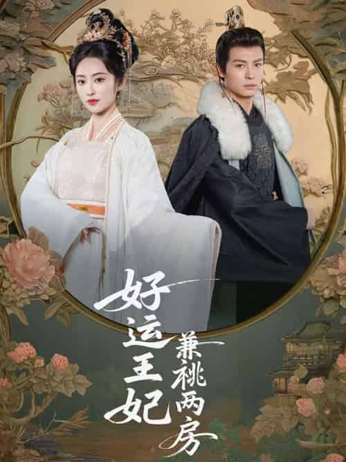 好运王妃兼祧两房（50集）刘叁肆＆生馨月-搜外项目网