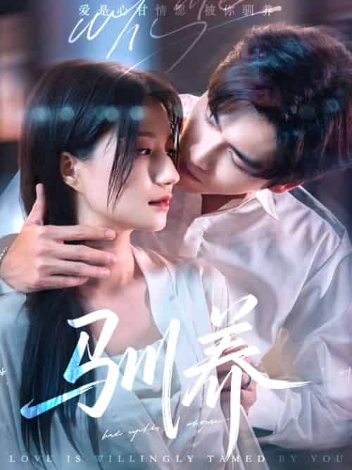 驯养（96集）王奕然＆兰岚-搜外项目网