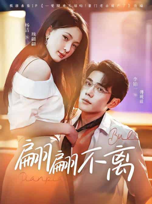 翩翩不离（71集）杨洁＆李铂一-搜外项目网