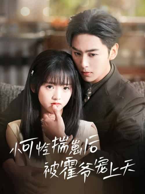 小可怜揣崽后被霍爷宠上天（83集）星硕＆王宇婧-搜外项目网