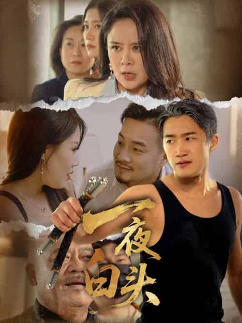 一夜白头（32集）杨依霖-搜外项目网