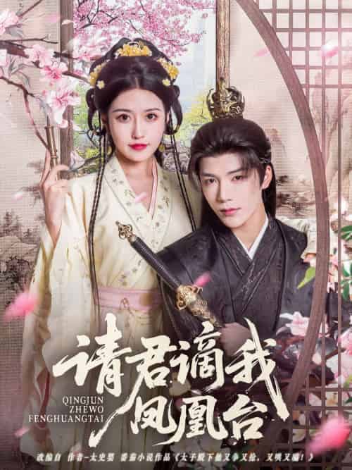 请君谪我凤凰台(82集)凌轩&周洛伊-搜外项目网
