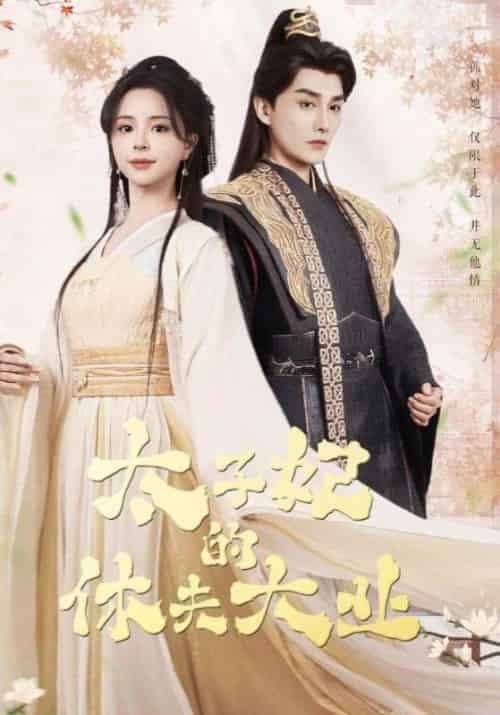 太子妃的休夫大业（84集）赵慕颜＆林潇-搜外项目网