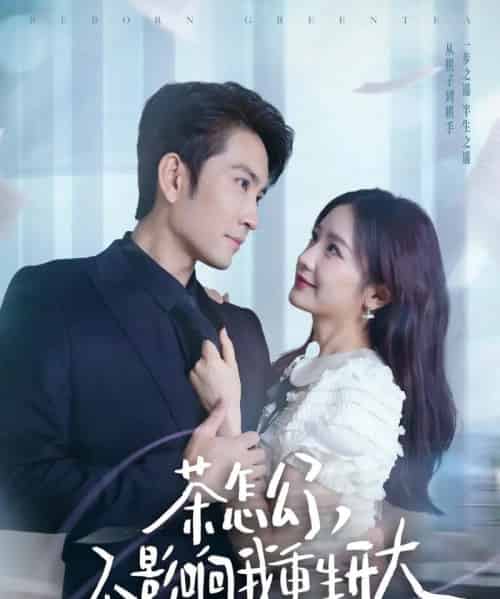 茶怎么了不影响我重生开大（80集）王已歌＆伍姣-搜外项目网