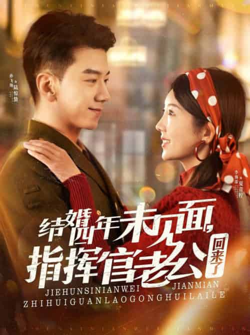 结婚四年未见面，指挥官老公回来了（100集全）孙飞翔＆李海蒂-搜外项目网