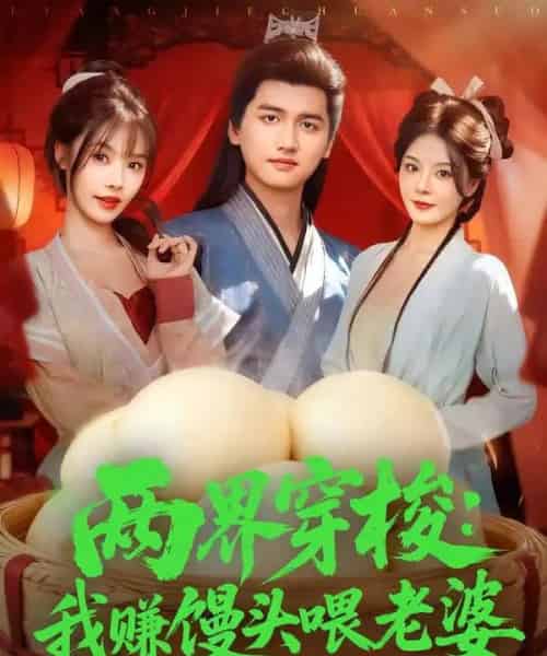 两界穿梭：我赚馒头喂老婆（80集全）彭佳博＆苏西-搜外项目网