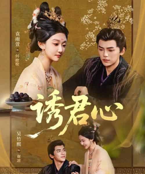 诱君心（61集全）吴竹熙＆袁雨萱-搜外项目网