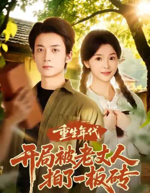 重生年代开局被老丈人拍了一板砖（82集全）陈含＆冯亦-搜外项目网