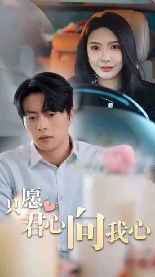 只愿君心向我心（31集全）张磊-搜外项目网