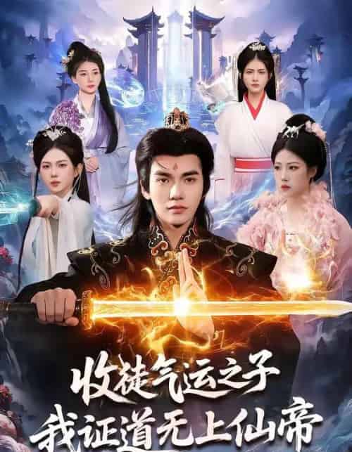 收徒气运之子，我证道无上仙帝（96集全）林准＆胡艺瀚-搜外项目网