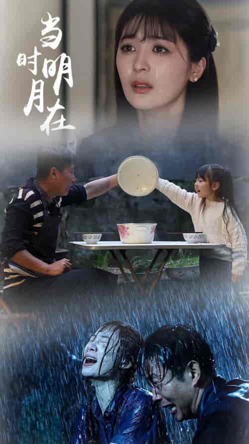 当时明月在（70集）钟熙-搜外项目网