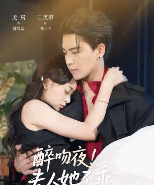 醉吻夜夫人她不乖(72集全)凌晨&王美淇-搜外项目网