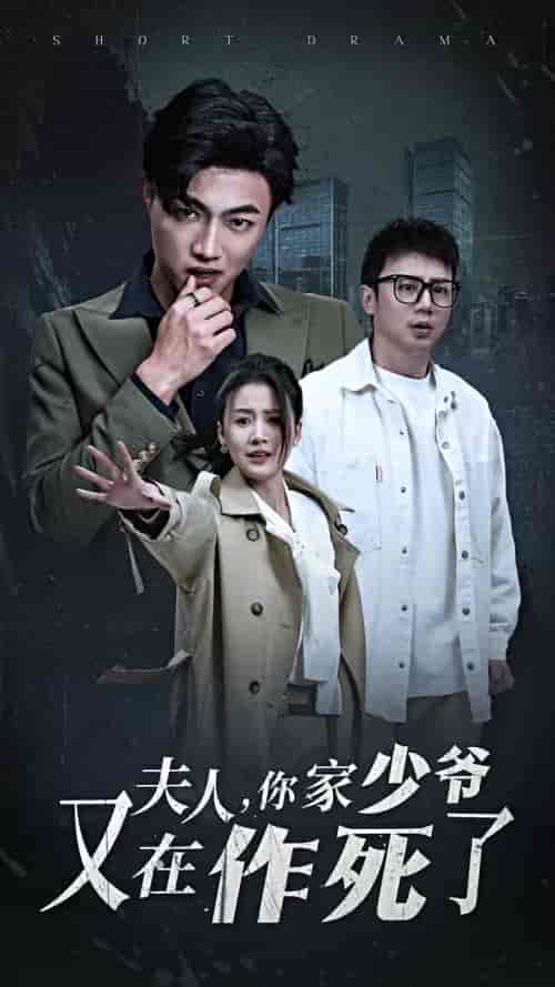 夫人你家少爷又在作死了（30集全）-搜外项目网