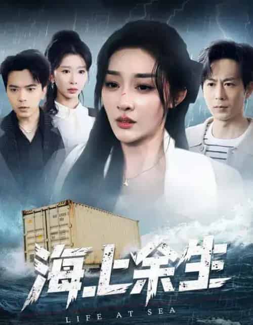 海上余生（70集全）张棠＆蒋末＆王妍-搜外项目网