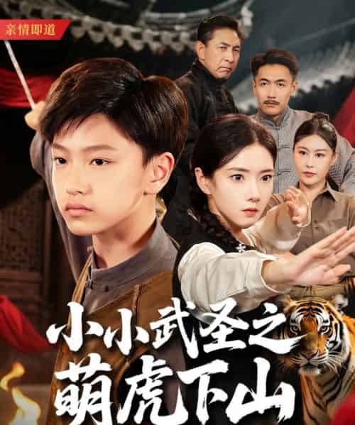 小小武圣之萌虎下山（62集）叶可儿-搜外项目网