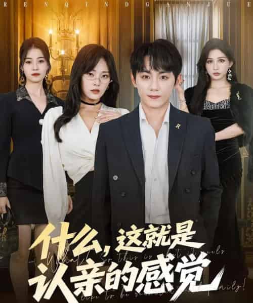 什么，这就是认亲的感觉＆什么这就是认亲的感觉（82集全）徐菡琳＆钟政-搜外项目网