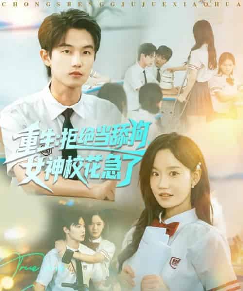 重生拒绝当舔狗女神校花急了（89集全）白珩威＆张诗媛（汤圆子）-搜外项目网