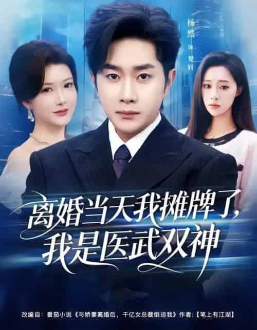 离婚当天我摊牌了，我是医武双神（80集全）杨然＆尹竹-搜外项目网