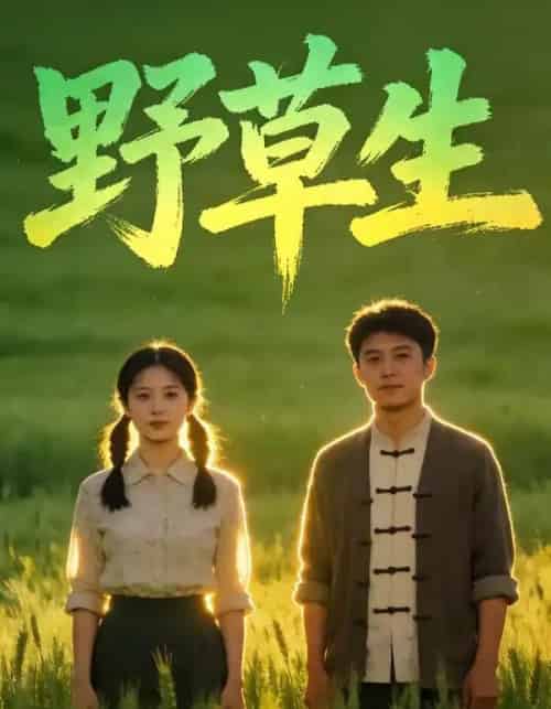 野草生（60集全）AI-搜外项目网