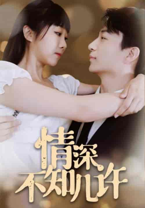 情深不知几许（96集全）秦东歌＆许言轻-搜外项目网