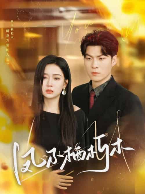 凤不栖朽木（80集全）邓恒健＆郭怡凡-搜外项目网