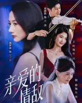 亲爱的情敌(44集全)刘碑歌&魏梦迪-搜外项目网