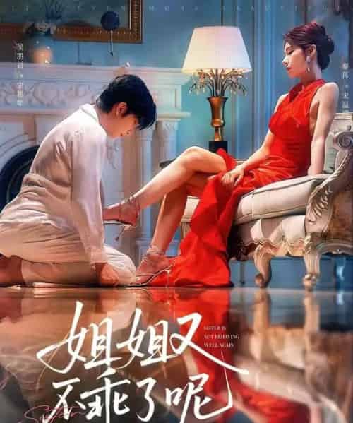 姐姐又不乖了呢(64集)侯明岩&秦苒-搜外项目网