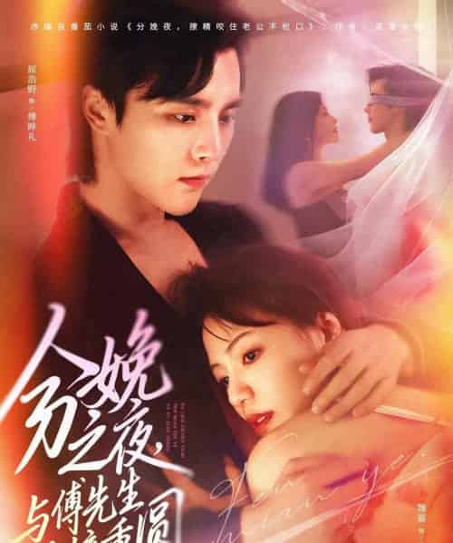 分娩之夜，与傅先生破镜重圆（80集全）屈浩野＆魏嘉-搜外项目网