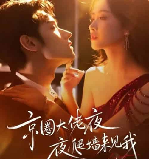 京圈大佬夜夜爬墙来见我＆吻上瘾，顾总他破防了（73集全）赵星卉＆袁凯凯-搜外项目网