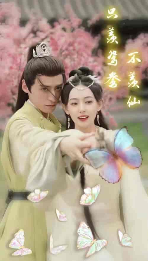 只羡鸳鸯不羡仙（婚后侯爷宠妻无度）（88集）-搜外项目网