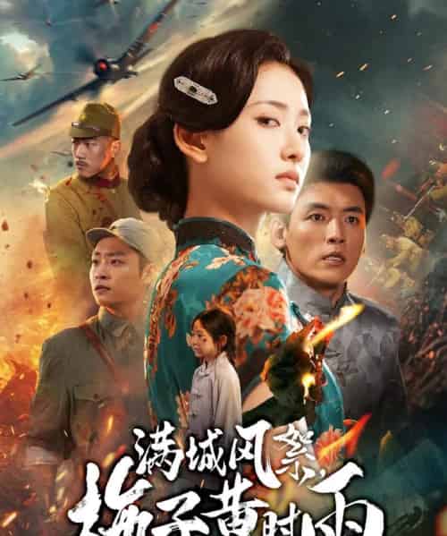 满城风絮梅子黄时雨(58集全)李源&汪巧-搜外项目网