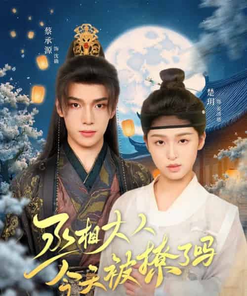 丞相大人今天被撩了吗（80集）楚玥＆蔡承源-搜外项目网