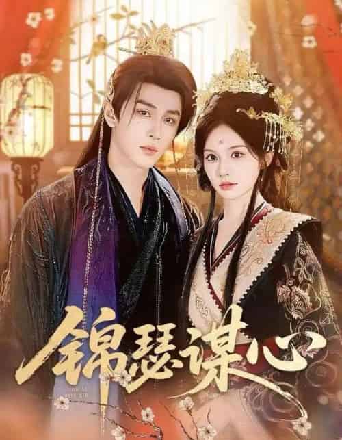 锦瑟谋心（83集全）宋佳音＆安奕明-搜外项目网