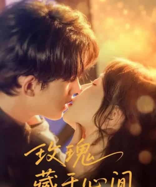 玫瑰藏于心间（60集）时康＆苏语桐-搜外项目网