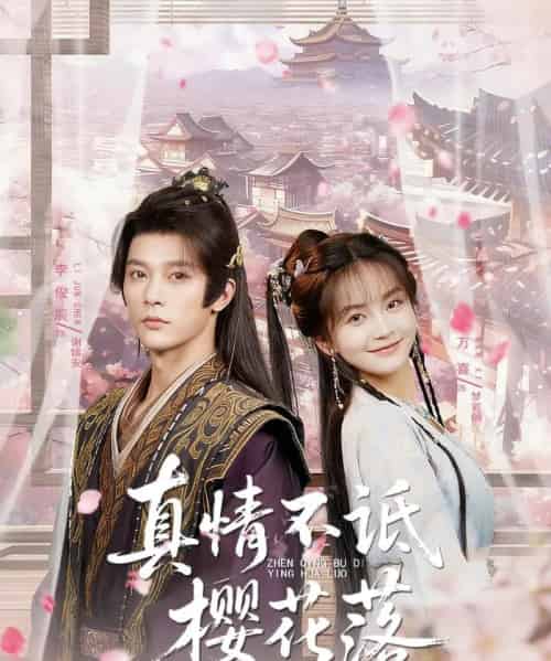 真情不诋樱花落(58集)李俊辰&万喜(徐波滴)-搜外项目网
