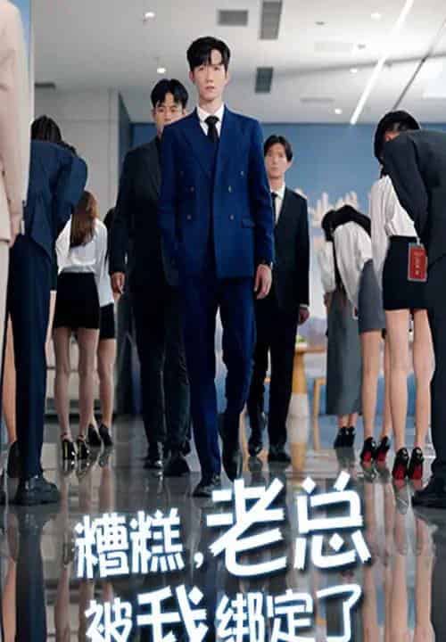 糟糕老总被我绑定了（63集全）李林轩＆吴帆-搜外项目网