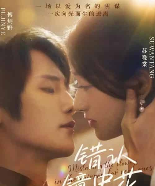 错认镜中花（67集全）闫丁翔宇＆谢甜甜-搜外项目网