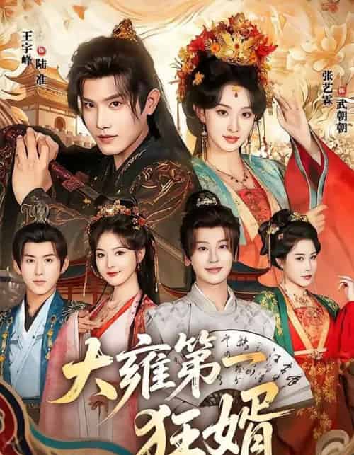 大雍第一狂婿（90集全）王宇峰＆张艺霖-搜外项目网