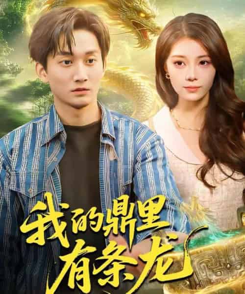 我的鼎里有条龙(83集全)黄小黄&李默-搜外项目网
