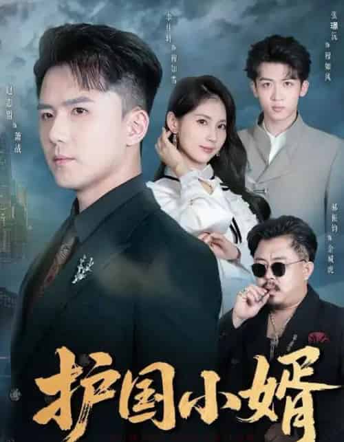护国小婿(60集全)李佳轩&赵志盟-搜外项目网