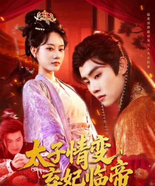 太子情变,弃妃临帝(104集)王伟晟&张瀚文-搜外项目网