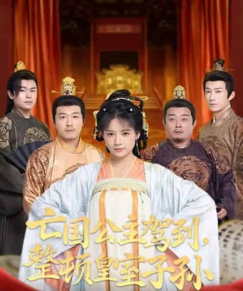 亡国公主驾到，整顿皇室子孙（77集全）万笙＆王飞乔-搜外项目网